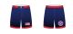 Fight Shorts - Medalist